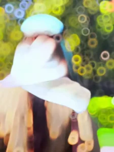 Pardesiya Capcut Template